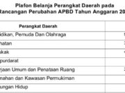 PESIMIS JALAN RUSAK BISA KLIR, INILAH PLAFON APBD PERUBAHAN 2025