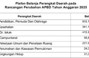 PESIMIS JALAN RUSAK BISA KLIR, INILAH PLAFON APBD PERUBAHAN 2025