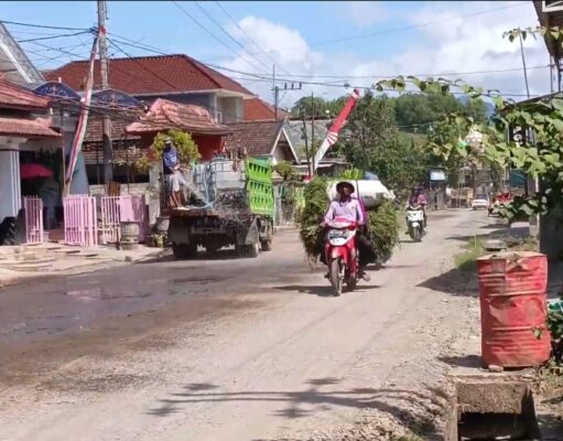 Borok Proyek Jalan Besole 19,8 Milyar : Aspal “Bubur” dan Skandal ‘Double Role’ Konsultan yang Tabrak 4 Regulasi